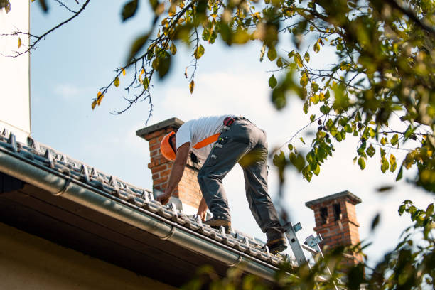 Best Chimney Flashing Repair  in Woodward, OK