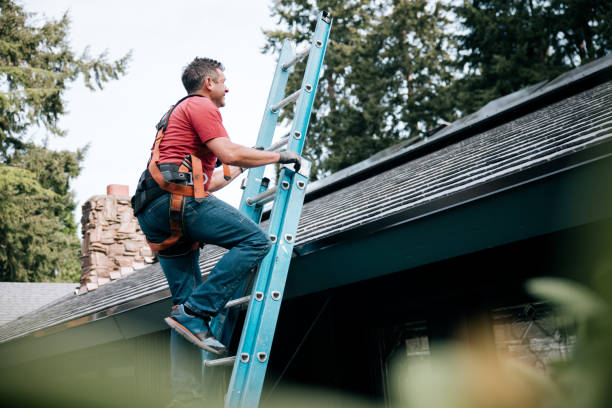 Best Roof Insulation Installation  in Woodward, OK